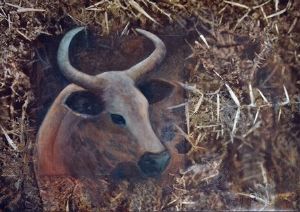 "Cow and Thorns"