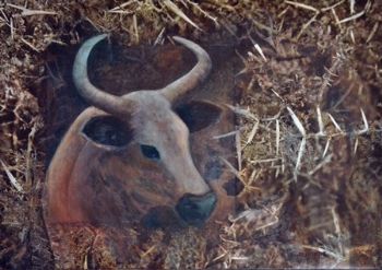 "Cow and Thorns"