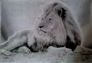 "The Big Lion"