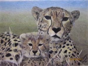 "Cheetah and Cub"