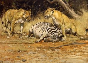 "Exhausted Lions"