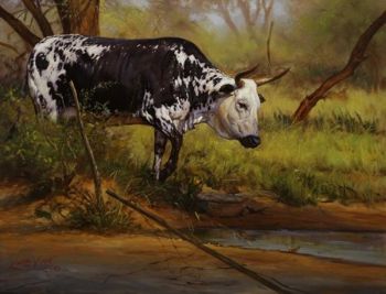 "Dappled Coat - Nguni"