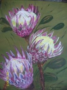 "Protea"