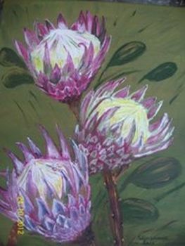 "Protea"