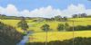 "Canola Fields"