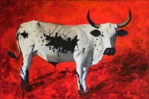 "Young Nguni Bull"