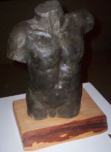 "Male Torso"