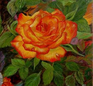 "Yellow Rose"