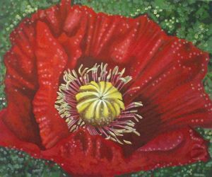 "Deep Red Opening"