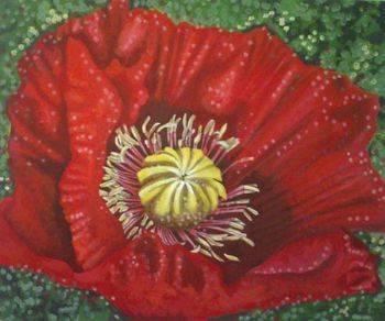 "Deep Red Opening"