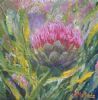 "Cardoon"