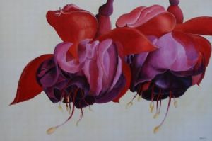 "Dancing Fuchsias"