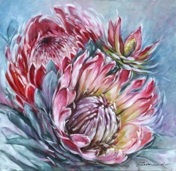 "Proteas (V)"