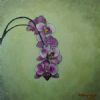 "Orchid_Purple"