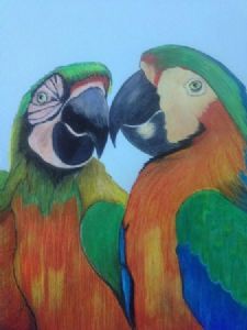 "Parrots"