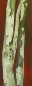 "Leopard Tree"
