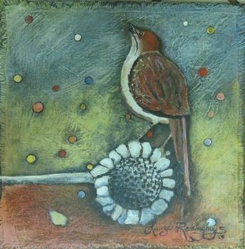 "Little bird"