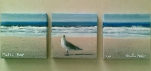 "Seagull - Mossel Bay"