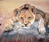 "Lion Cub"