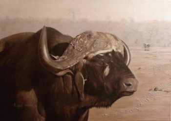 "Buffalo and Oxpecker"