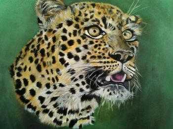 "Leopard Head"