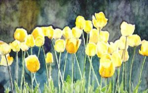 "Tulips"