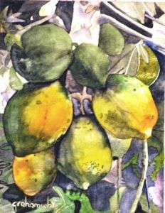 "Paw Paws"