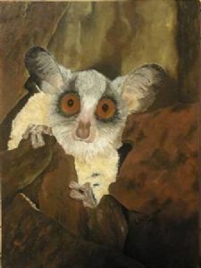 "Bushbaby"