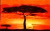 "Sunset Savanna"