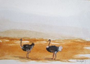 "Ostrich"