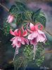 "Fuchsia and Fern"