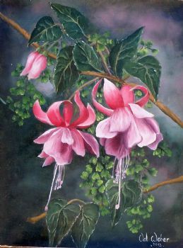 "Fuchsia and Fern"