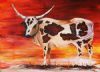 "Nguni"