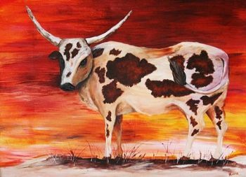 "Nguni"