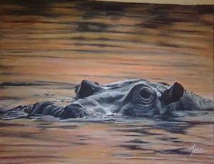 "Hippo Sunset"