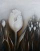 "White Tulip Field Monochromatic"