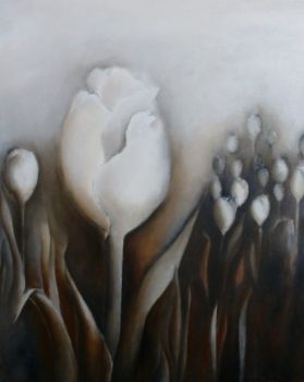 "White Tulip Field Monochromatic"