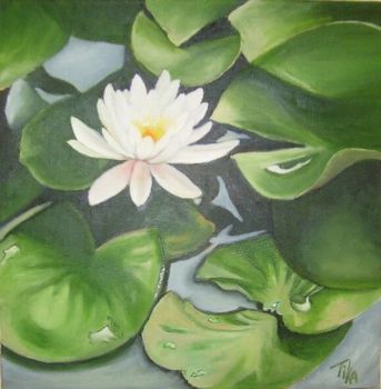 "Waterlily"