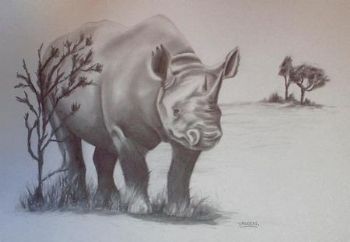 "Rhino"