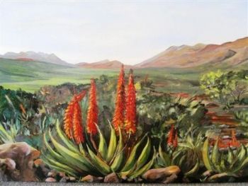 "Gamtoos Valley Eastern Cape"