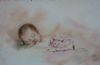 "Newborn"