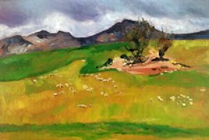 "Sheep in Caledon Fields"