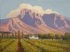 "Evening Shadows - Boschendal"