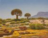 "Quiver Trees, Loeriesfontein"