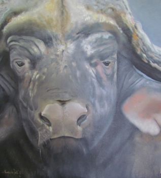 "Buffalo"