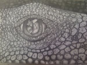 "Lizard's Eye"