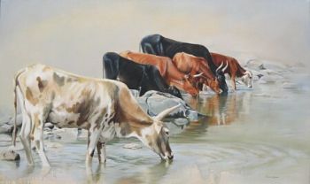 "Nguni Drinking at the Tugela"