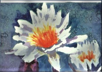 "Waterlily"