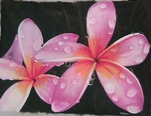 "Frangipani"