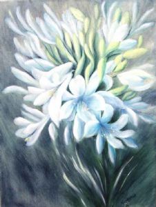 "Phantom Agapanthus"